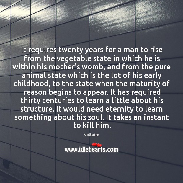 It requires twenty years for a man to rise from the vegetable Voltaire Picture Quote