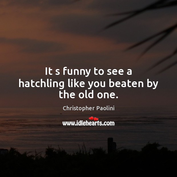 It s funny to see a hatchling like you beaten by the old one. Christopher Paolini Picture Quote