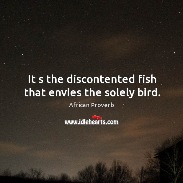 It s the discontented fish that envies the solely bird. 