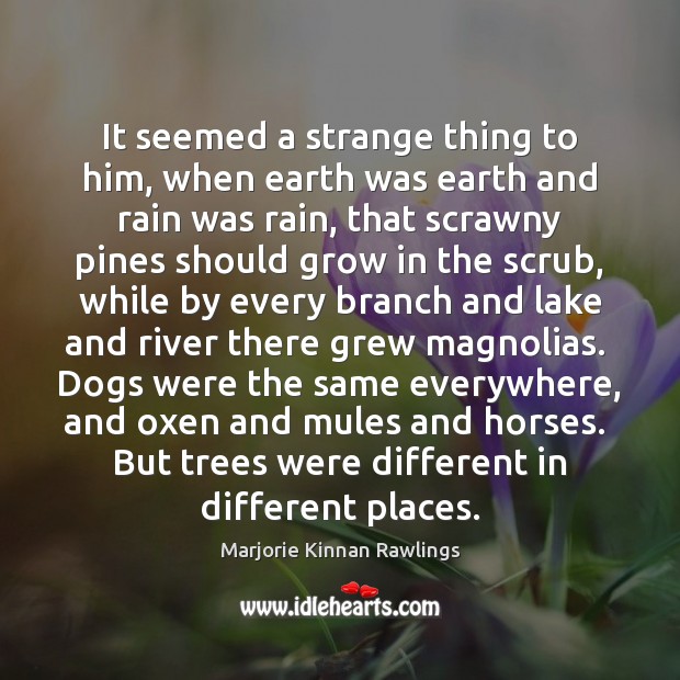 It seemed a strange thing to him, when earth was earth and Marjorie Kinnan Rawlings Picture Quote