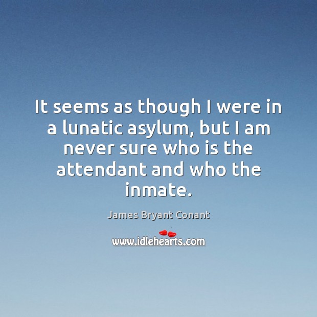 It seems as though I were in a lunatic asylum, but I James Bryant Conant Picture Quote