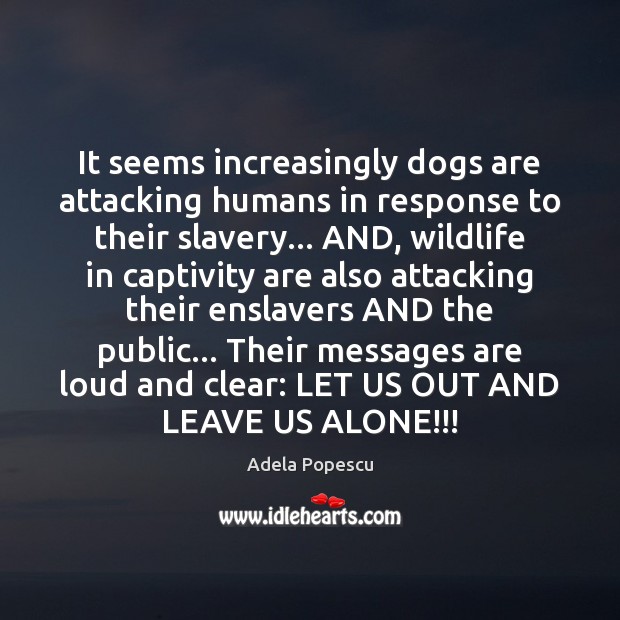 It seems increasingly dogs are attacking humans in response to their slavery… Image