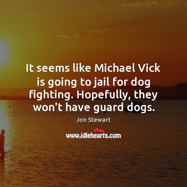 It seems like Michael Vick is going to jail for dog fighting. Jon Stewart Picture Quote