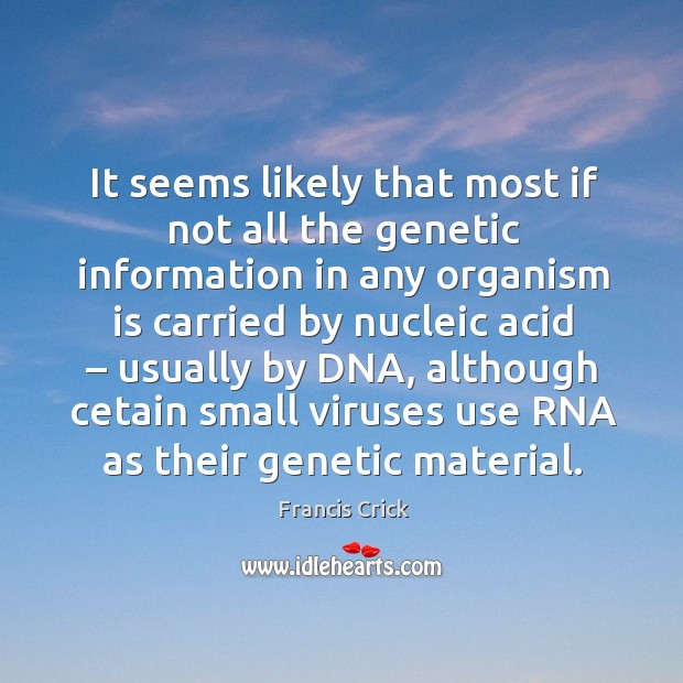 It seems likely that most if not all the genetic information in any organism is carried by nucleic acid Francis Crick Picture Quote