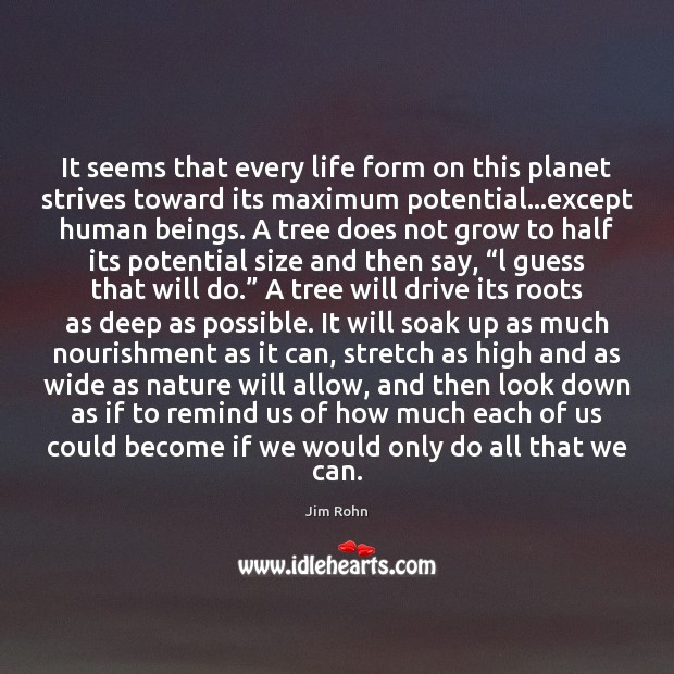 It seems that every life form on this planet strives toward its Image