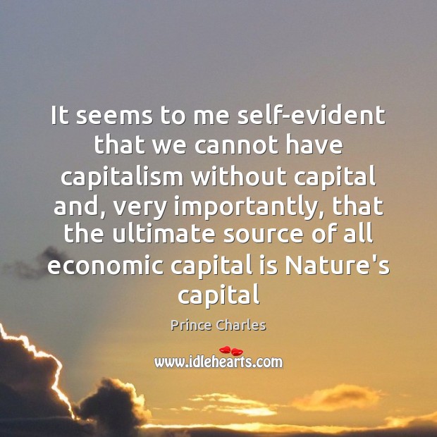 It seems to me self-evident that we cannot have capitalism without capital Image