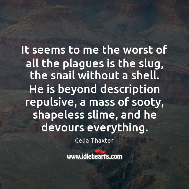 It seems to me the worst of all the plagues is the Celia Thaxter Picture Quote