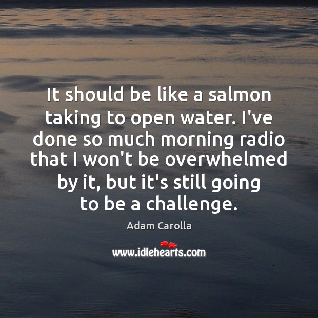 It should be like a salmon taking to open water. I’ve done Adam Carolla Picture Quote