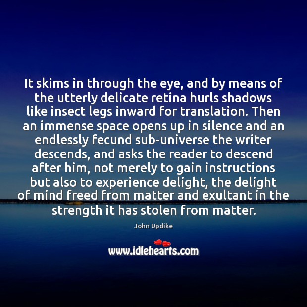 It skims in through the eye, and by means of the utterly John Updike Picture Quote