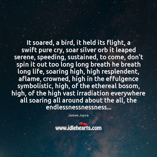 It soared, a bird, it held its flight, a swift pure cry, James Joyce Picture Quote