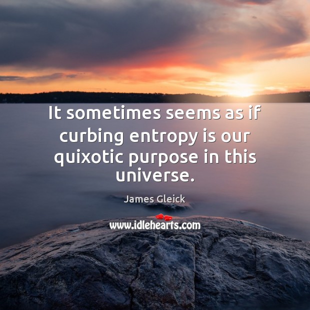 It sometimes seems as if curbing entropy is our quixotic purpose in this universe. James Gleick Picture Quote