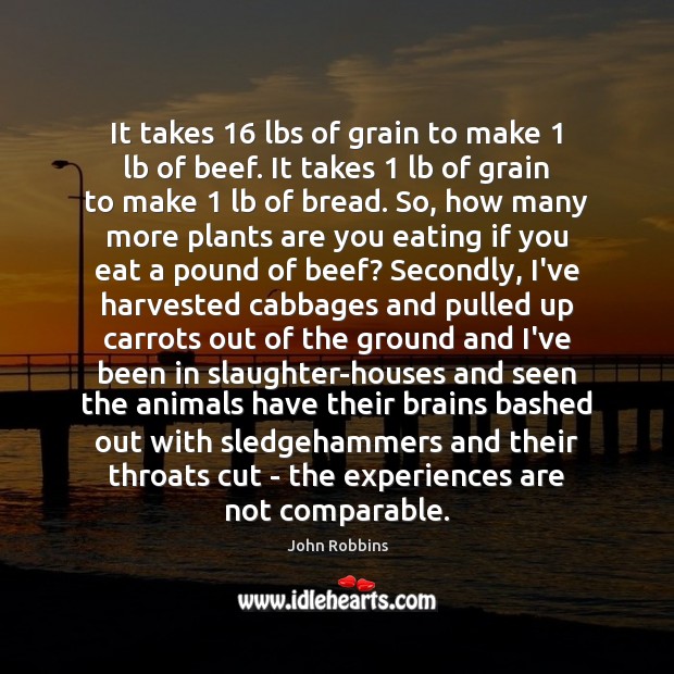 It takes 16 lbs of grain to make 1 lb of beef. It takes 1 John Robbins Picture Quote