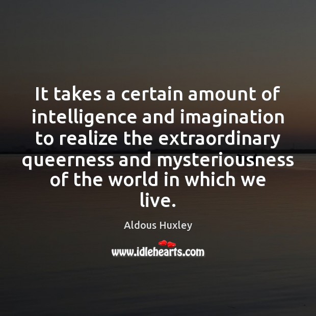 It takes a certain amount of intelligence and imagination to realize the Image