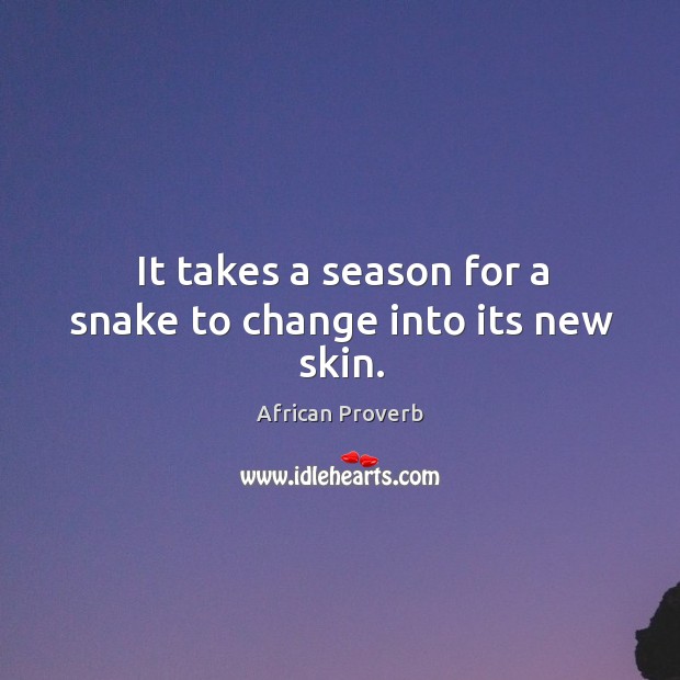 It takes a season for a snake to change into its new skin. African Proverbs Image
