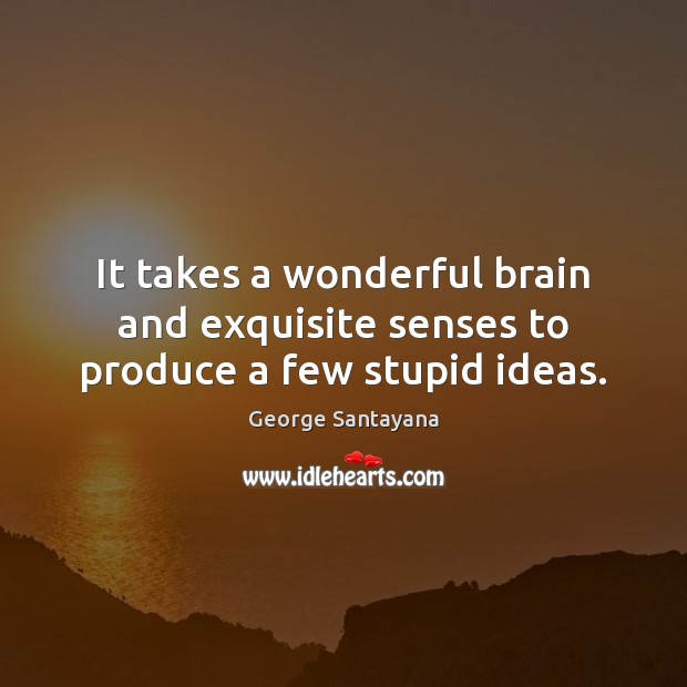 It takes a wonderful brain and exquisite senses to produce a few stupid ideas. Image