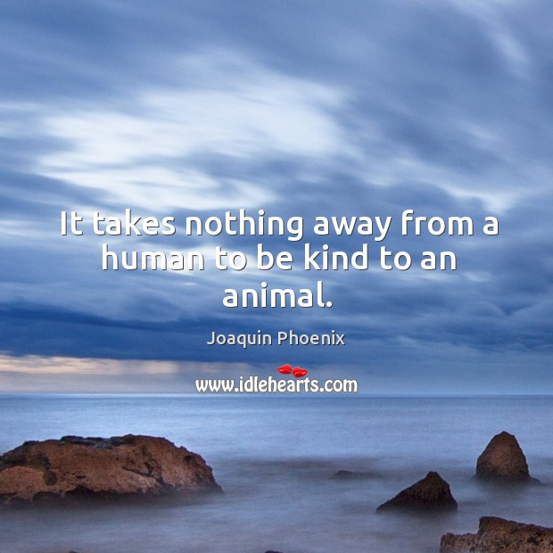 It takes nothing away from a human to be kind to an animal. Joaquin Phoenix Picture Quote