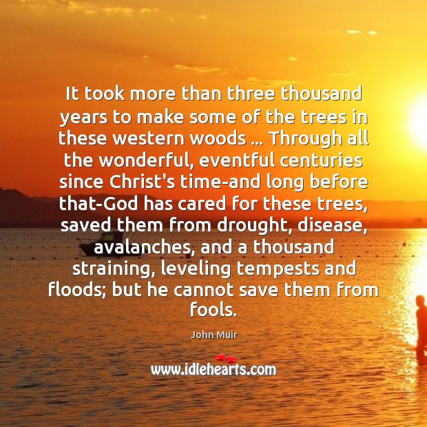 It took more than three thousand years to make some of the John Muir Picture Quote