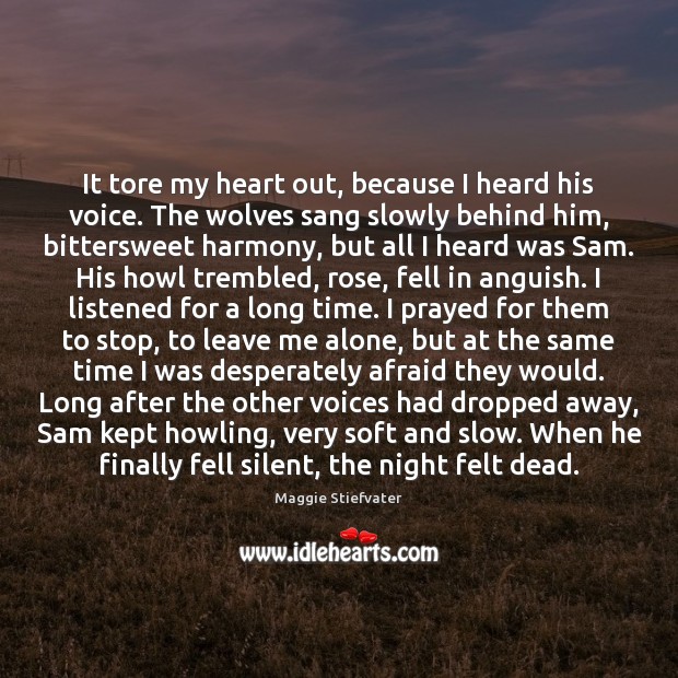 It tore my heart out, because I heard his voice. The wolves Maggie Stiefvater Picture Quote