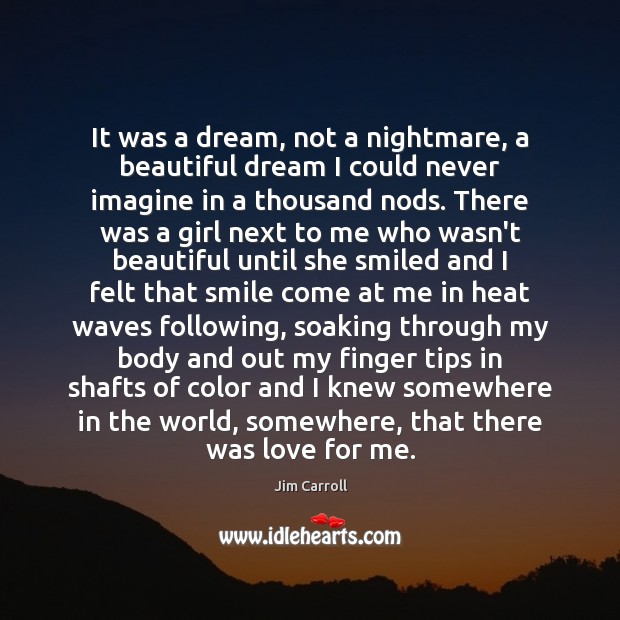 It was a dream, not a nightmare, a beautiful dream I could Jim Carroll Picture Quote