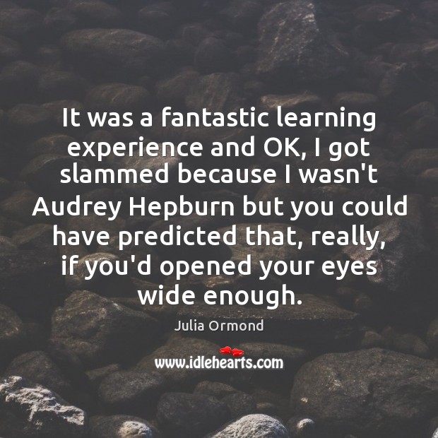 It was a fantastic learning experience and OK, I got slammed because Julia Ormond Picture Quote