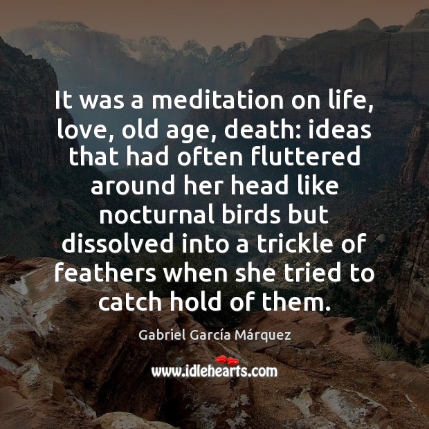 It was a meditation on life, love, old age, death: ideas that Gabriel García Márquez Picture Quote