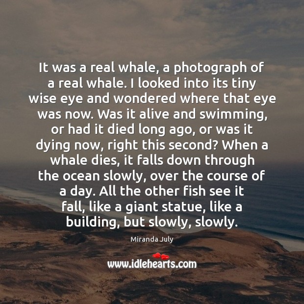 It was a real whale, a photograph of a real whale. I Miranda July Picture Quote