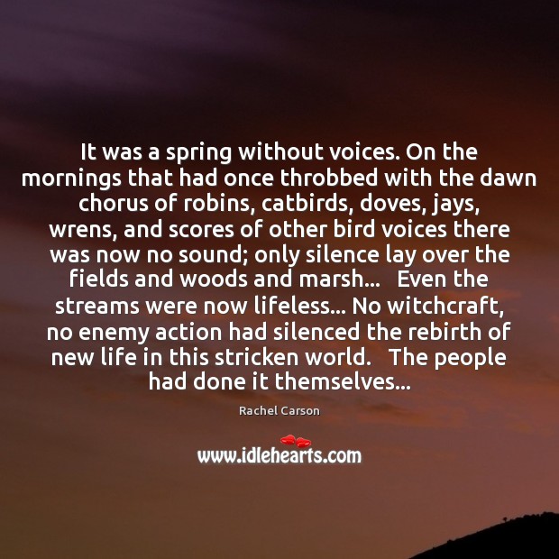 It was a spring without voices. On the mornings that had once Rachel Carson Picture Quote