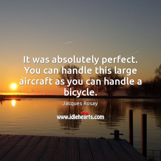 It was absolutely perfect. You can handle this large aircraft as you can handle a bicycle. Image