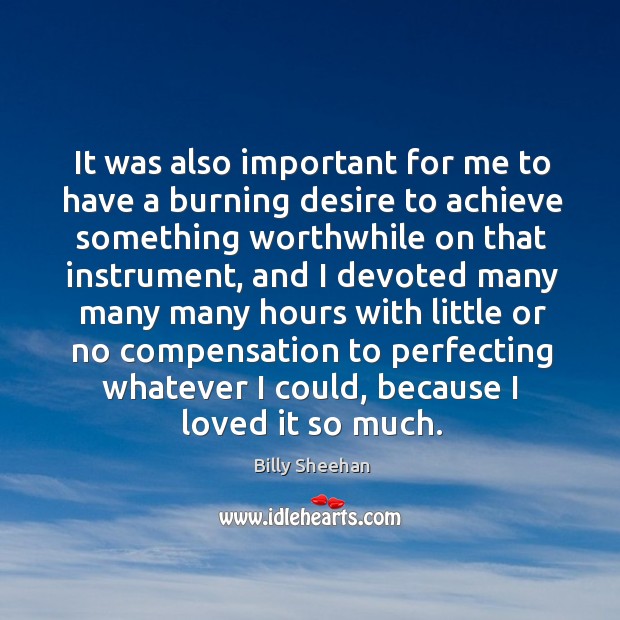 It was also important for me to have a burning desire to achieve something worthwhile Billy Sheehan Picture Quote