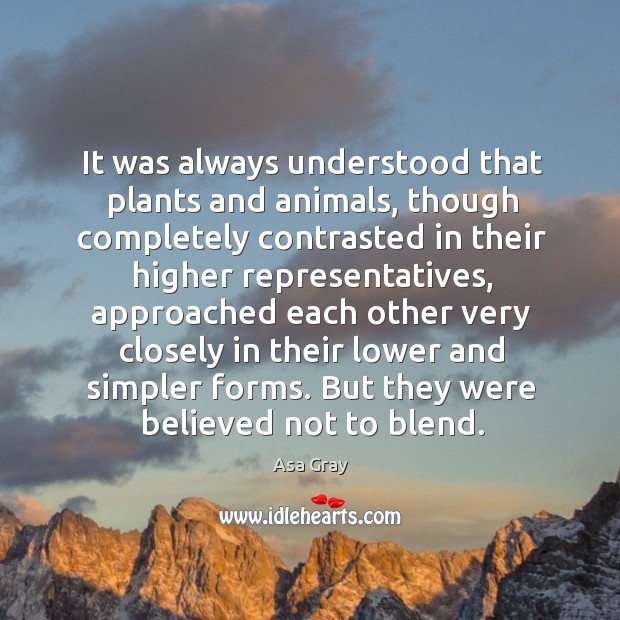 It was always understood that plants and animals, though completely contrasted in their Asa Gray Picture Quote