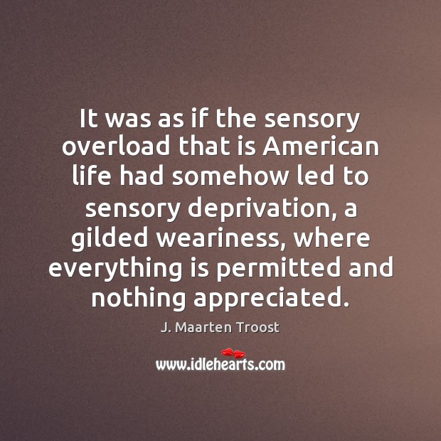 It was as if the sensory overload that is American life had J. Maarten Troost Picture Quote