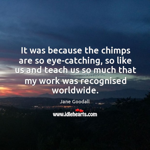 It was because the chimps are so eye-catching, so like us and Jane Goodall Picture Quote
