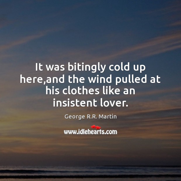 It was bitingly cold up here,and the wind pulled at his clothes like an insistent lover. George R.R. Martin Picture Quote