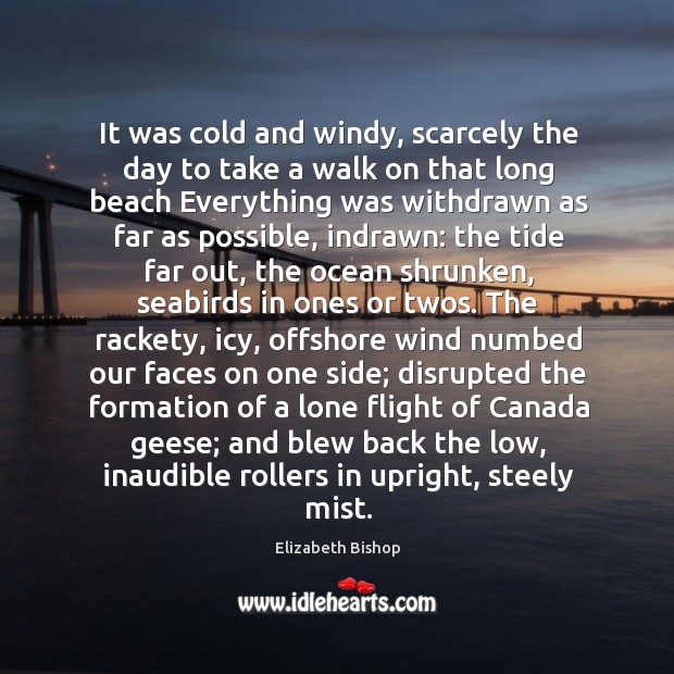 It was cold and windy, scarcely the day to take a walk Elizabeth Bishop Picture Quote