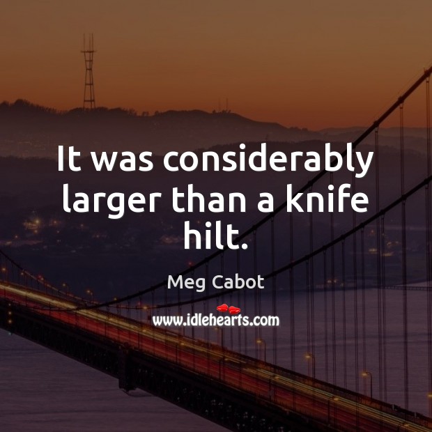 It was considerably larger than a knife hilt. Image