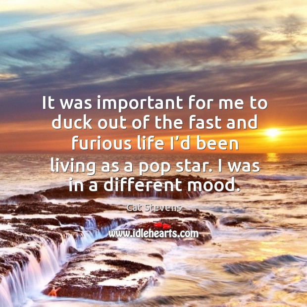 It was important for me to duck out of the fast and furious life I’d been living as a pop star. Cat Stevens Picture Quote