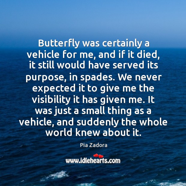 It was just a small thing as a vehicle, and suddenly the whole world knew about it. Pia Zadora Picture Quote