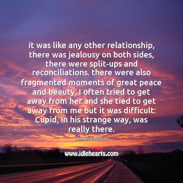 It was like any other relationship, there was jealousy on both sides, Charles Bukowski Picture Quote