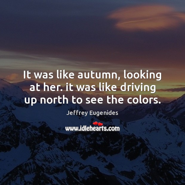 It was like autumn, looking at her. it was like driving up north to see the colors. Jeffrey Eugenides Picture Quote