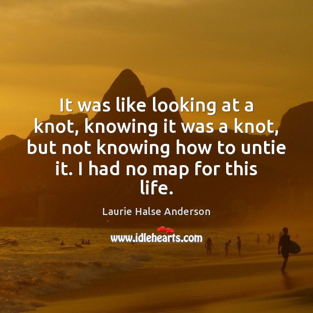 It was like looking at a knot, knowing it was a knot, Laurie Halse Anderson Picture Quote