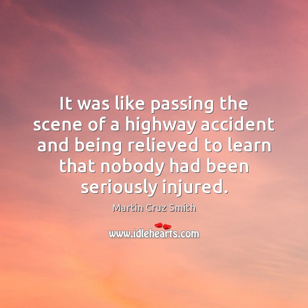 It was like passing the scene of a highway accident and being Martin Cruz Smith Picture Quote