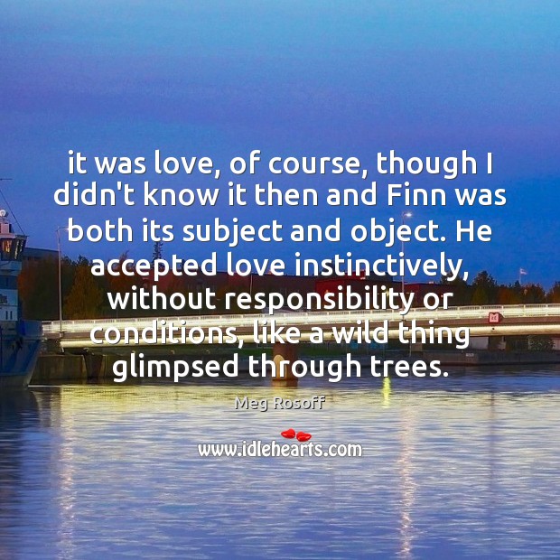 It was love, of course, though I didn’t know it then and Meg Rosoff Picture Quote
