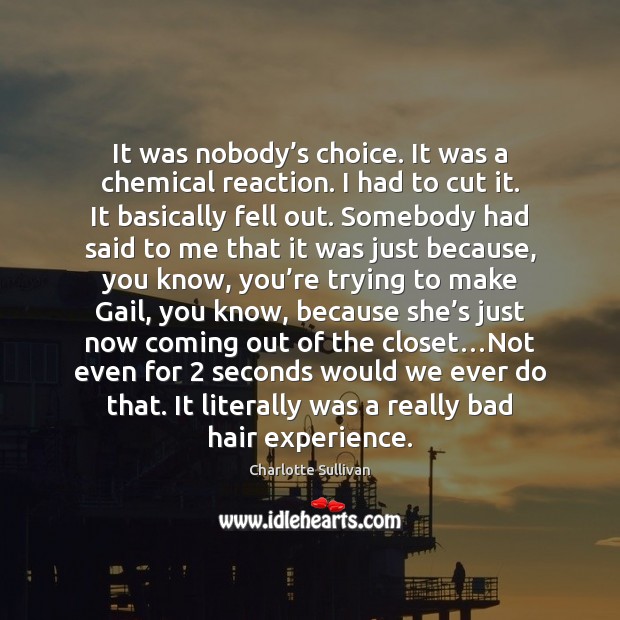It was nobody’s choice. It was a chemical reaction. I had Charlotte Sullivan Picture Quote