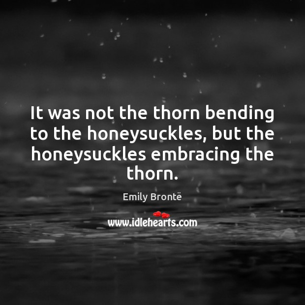 It was not the thorn bending to the honeysuckles, but the honeysuckles Emily Brontë Picture Quote