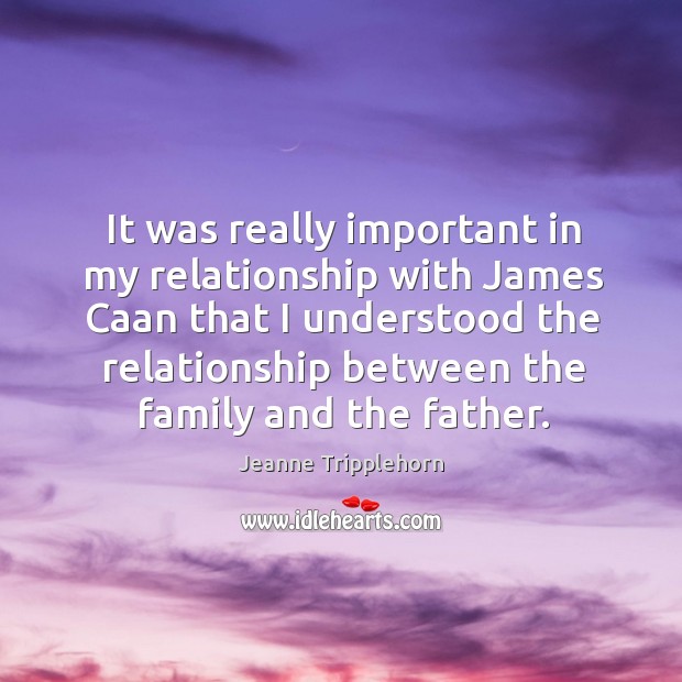 It was really important in my relationship with james caan that I understood the relationship between the family and the father. Jeanne Tripplehorn Picture Quote