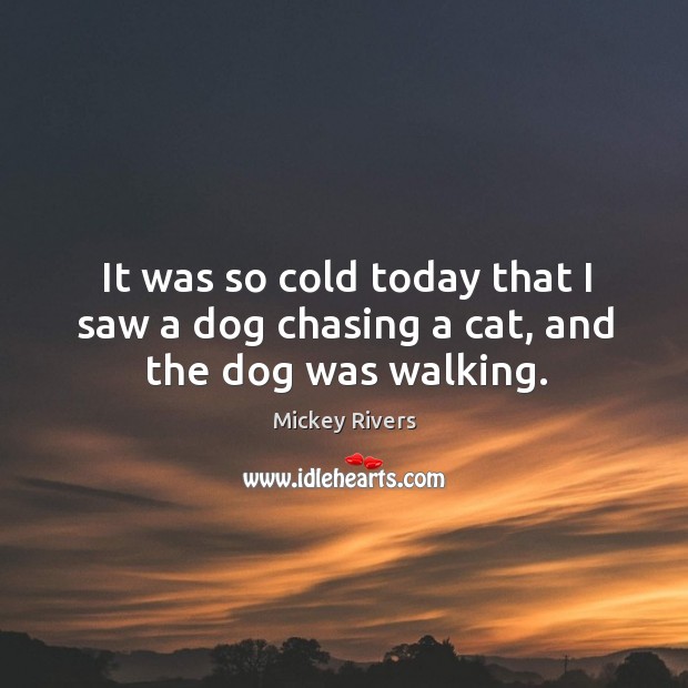 It was so cold today that I saw a dog chasing a cat, and the dog was walking. Mickey Rivers Picture Quote