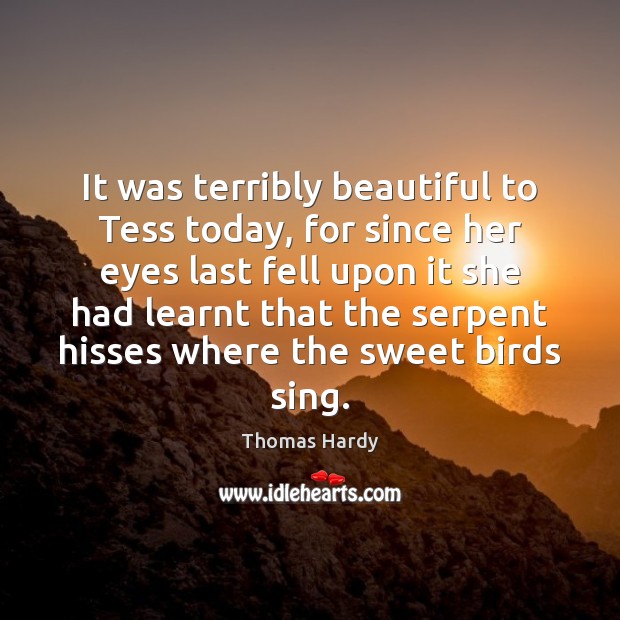 It was terribly beautiful to Tess today, for since her eyes last Thomas Hardy Picture Quote