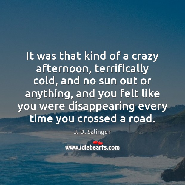 It was that kind of a crazy afternoon, terrifically cold, and no J. D. Salinger Picture Quote
