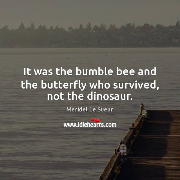 It was the bumble bee and the butterfly who survived, not the dinosaur. Meridel Le Sueur Picture Quote