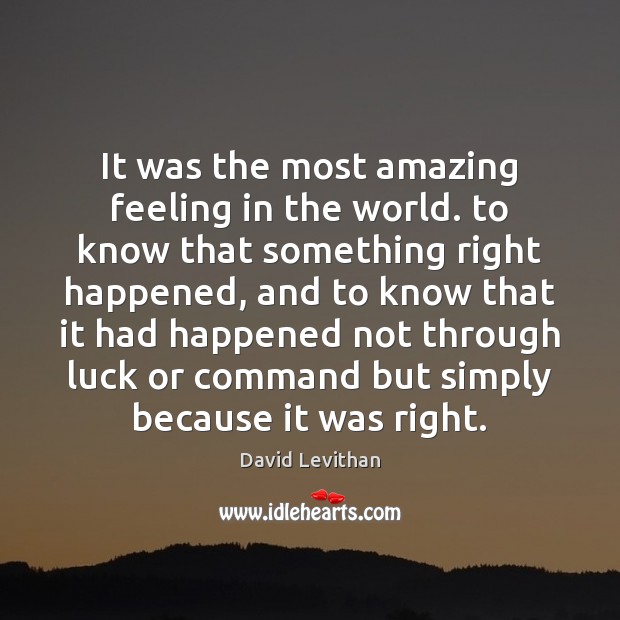 It was the most amazing feeling in the world. to know that David Levithan Picture Quote